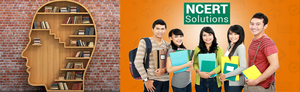 head-banner